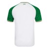 Maillot Foot Irlande Troisieme 2024-25
